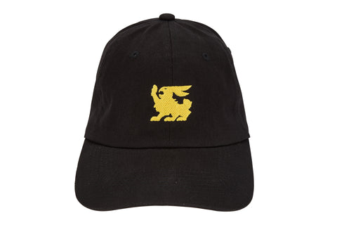 Terlingua Rabbit Washed Terlingua Rabbit Dad Hat – Terlingua Racing Team